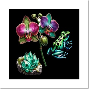 Rainforest Wonders: Orchid, Amazonite, and Frog Posters and Art